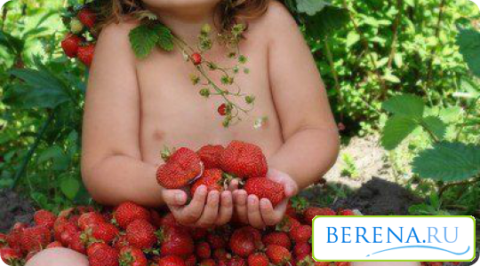 Помните, что диатез может проявиться через время, поэтому не позволяйте малышу злоупотреблять вкусными ягодами