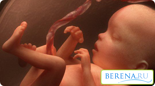 Ребенок, рожденный от переношенной беременности, может отличаться повышенной массой тела, крепкими черепными костями и сухой кожей