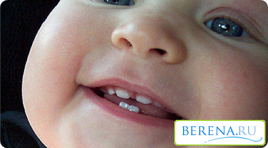 Нижние центральные зубки появляются примерно в 6 месяцев, а верхние - в течение первого года жизни